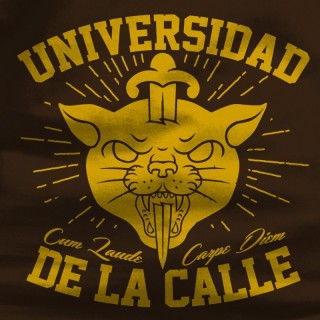 Universidad Calle