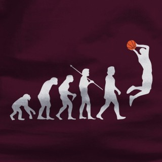Basket Evolution
